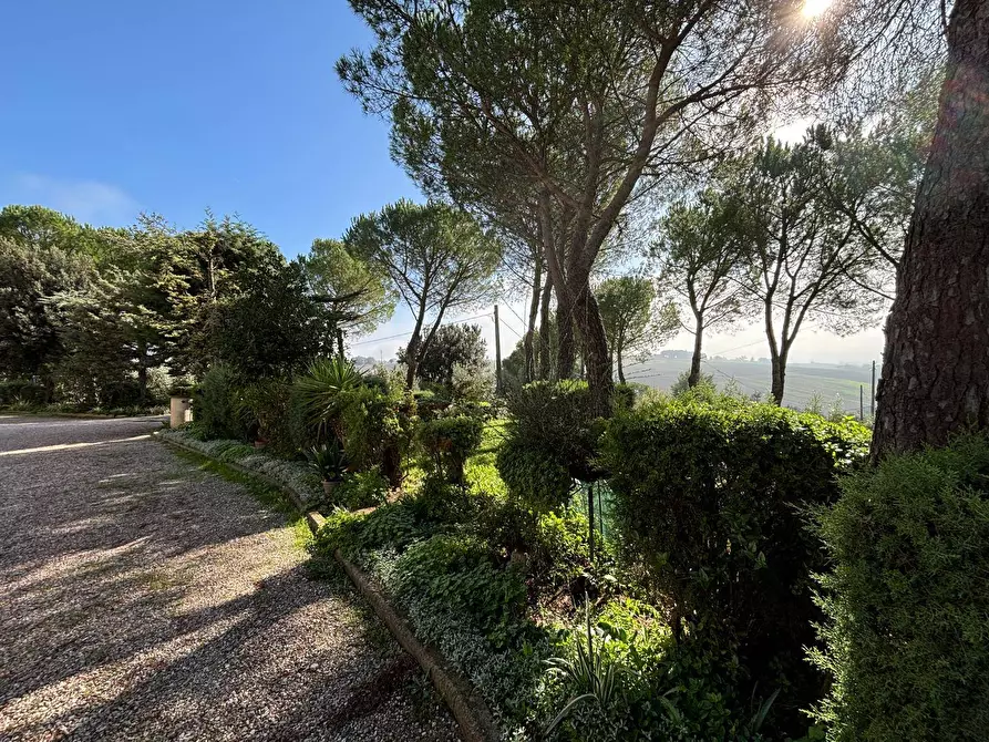Immagine 31 di Appartamento in vendita  a Marsciano