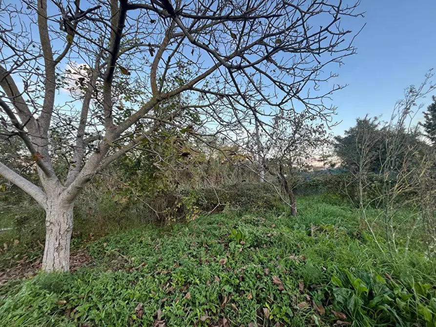 Immagine 33 di Casa indipendente in vendita  a Marsciano
