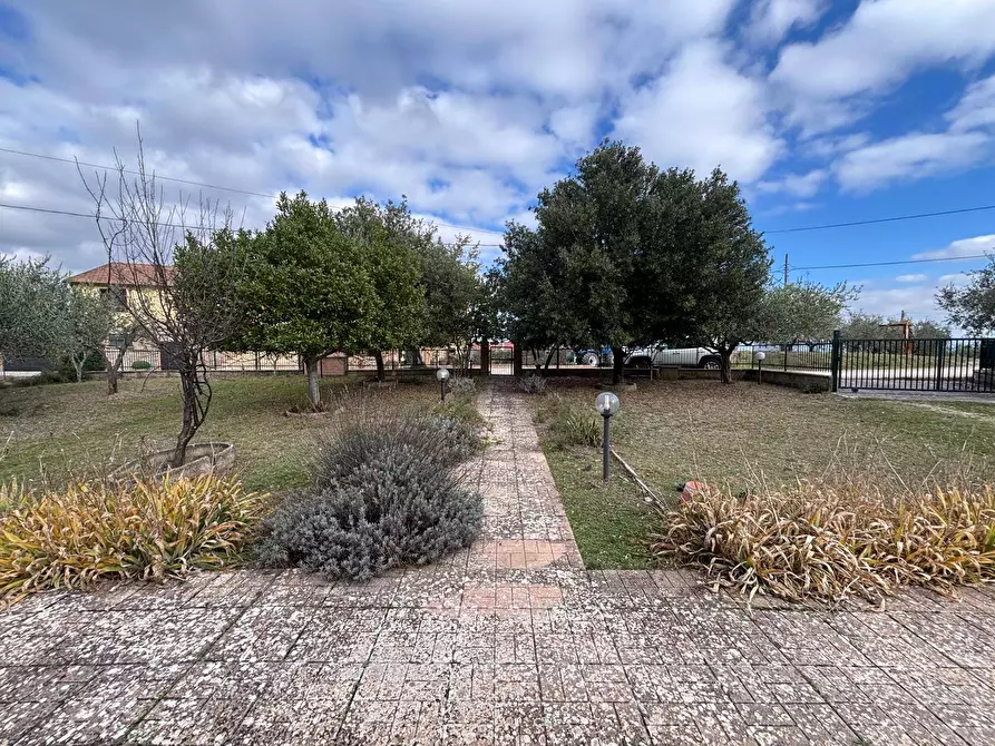 Immagine 9 di Villa in vendita  in Vocabolo Collebrano a Marsciano