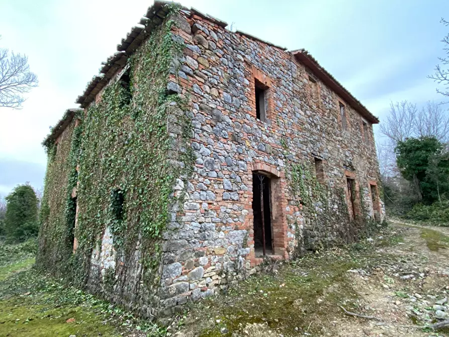 Immagine 2 di Rustico / casale in vendita  a San Venanzo