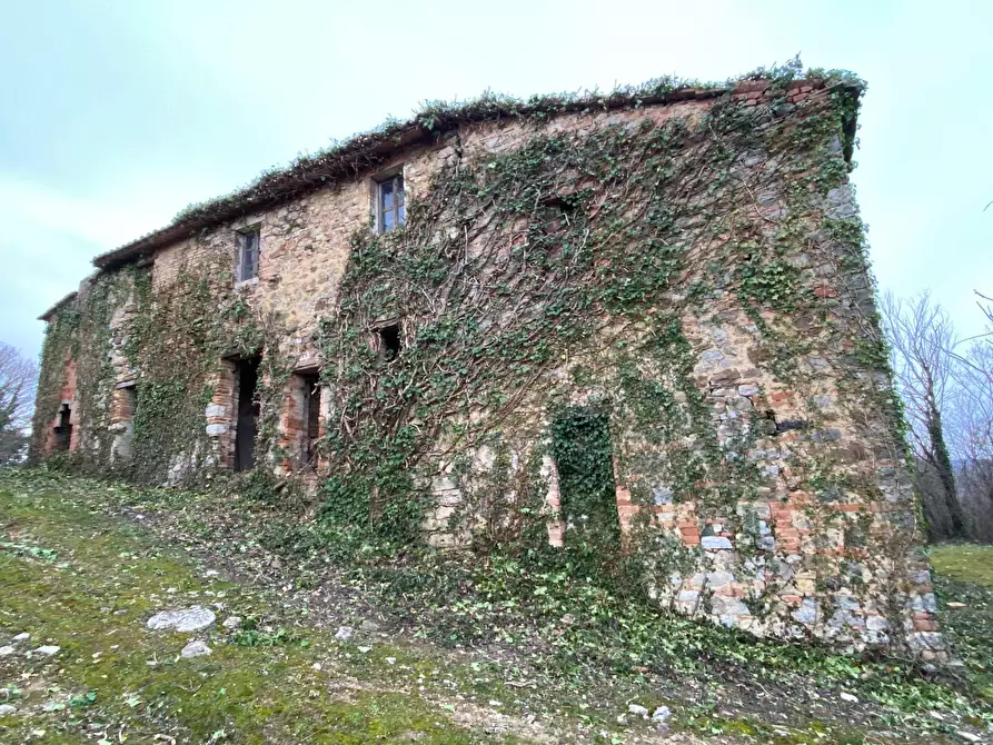 Immagine 3 di Rustico / casale in vendita  a San Venanzo