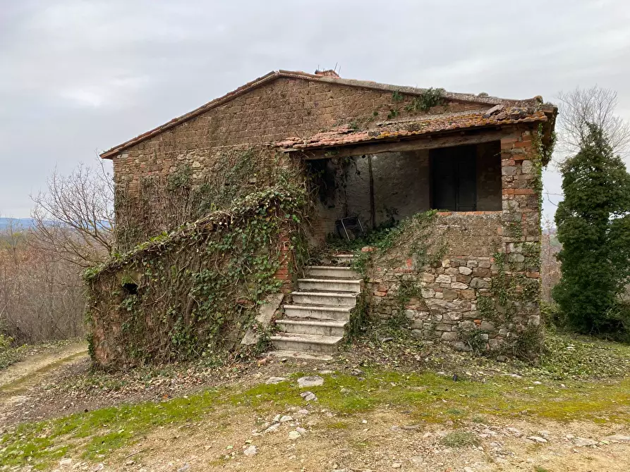 Immagine 4 di Rustico / casale in vendita  a San Venanzo