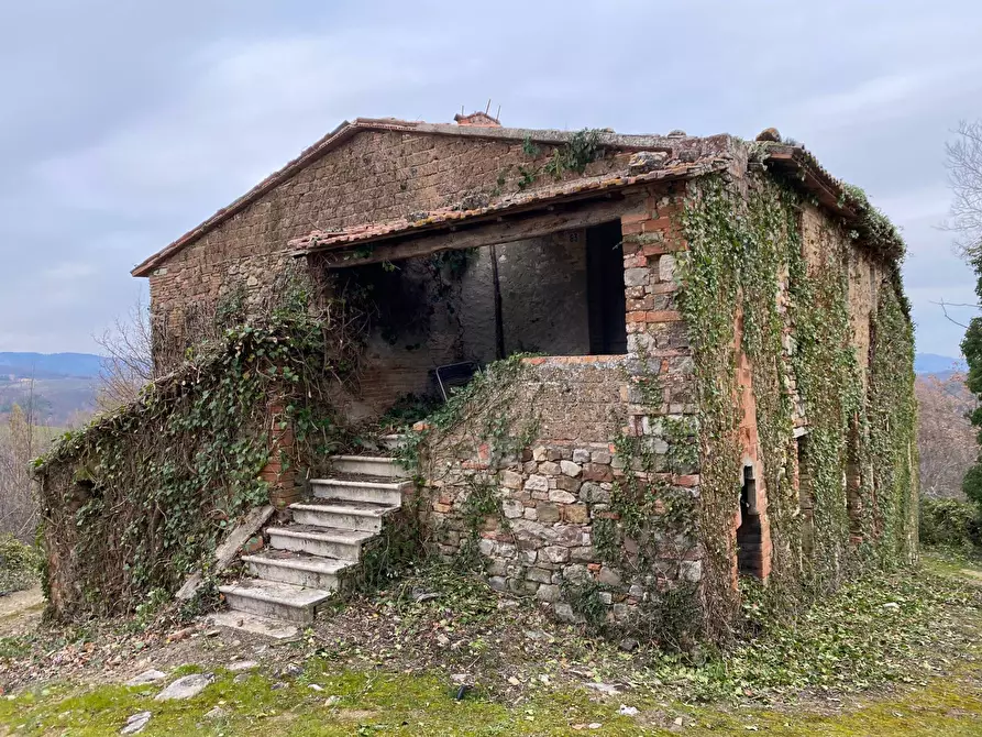 Immagine 5 di Rustico / casale in vendita  a San Venanzo