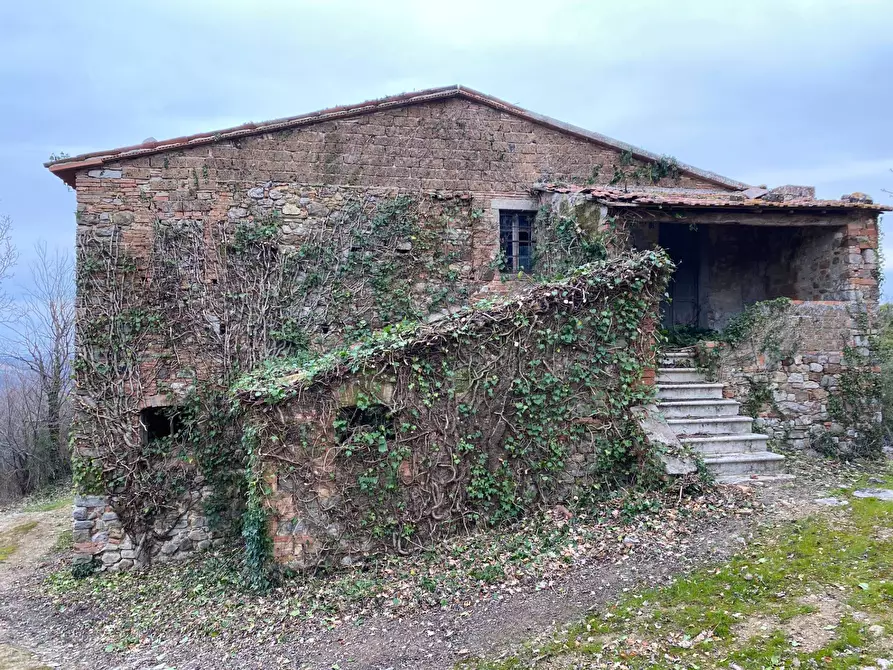 Immagine 6 di Rustico / casale in vendita  a San Venanzo