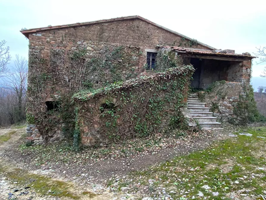 Immagine 7 di Rustico / casale in vendita  a San Venanzo