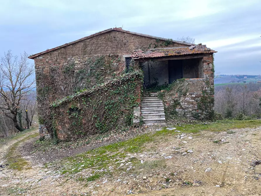 Immagine 8 di Rustico / casale in vendita  a San Venanzo