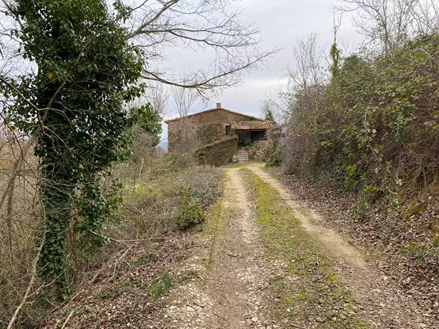 Immagine 9 di Rustico / casale in vendita  a San Venanzo