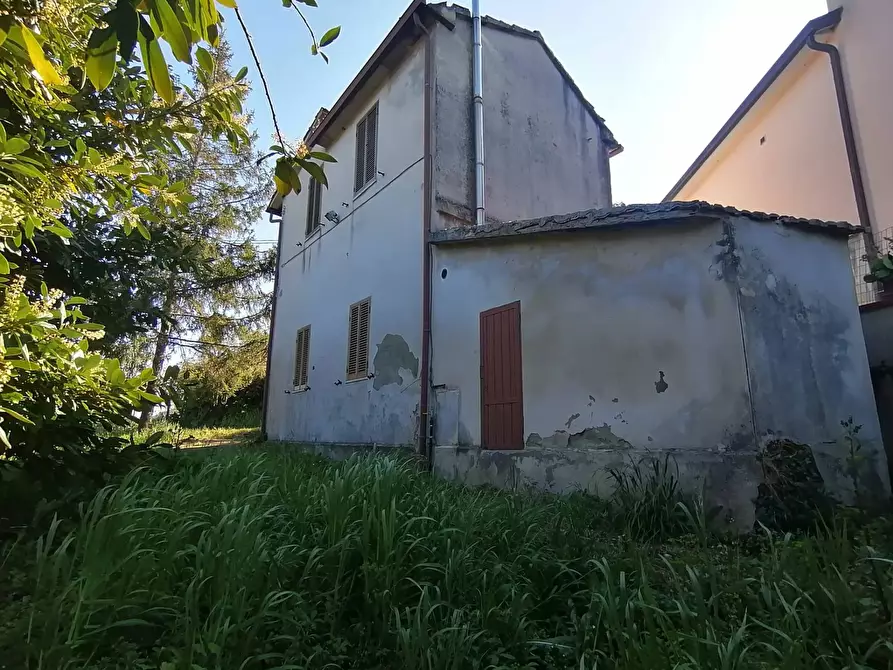 Immagine 3 di Casa indipendente in vendita  a Collazzone