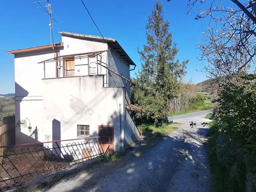 Immagine 4 di Casa indipendente in vendita  a Collazzone