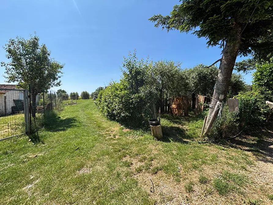 Immagine 3 di Casa semindipendente in vendita  a Fratta Todina