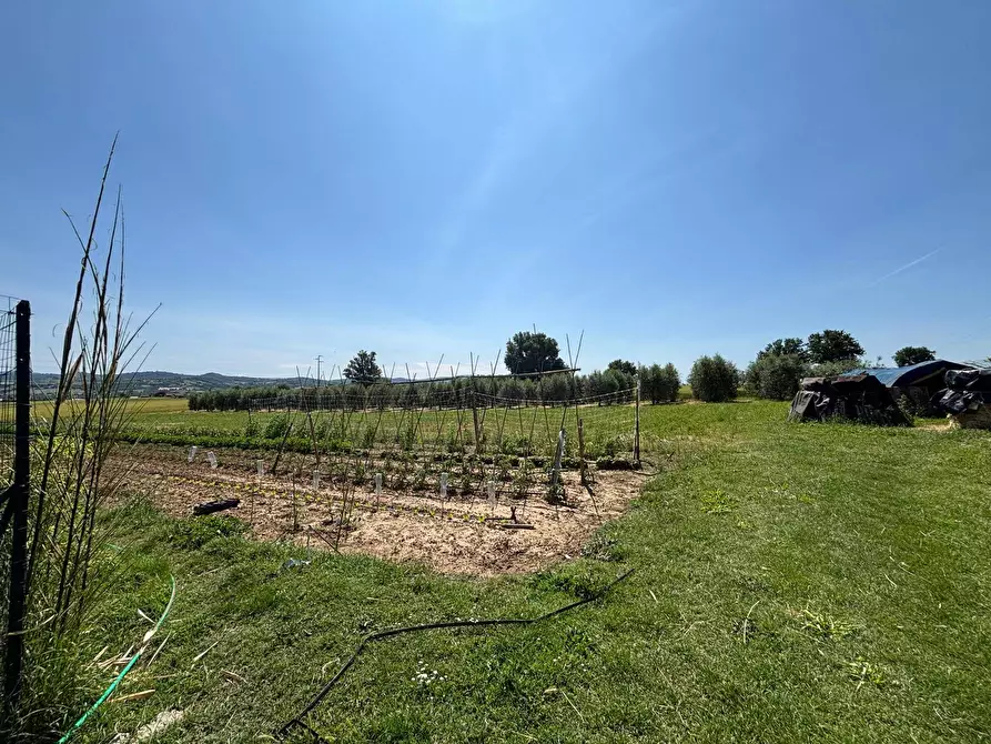 Immagine 4 di Casa semindipendente in vendita  a Fratta Todina