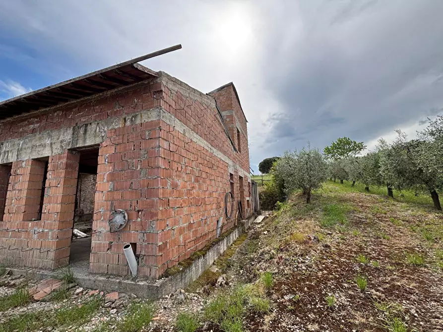Immagine 3 di Rustico / casale in vendita  a Marsciano
