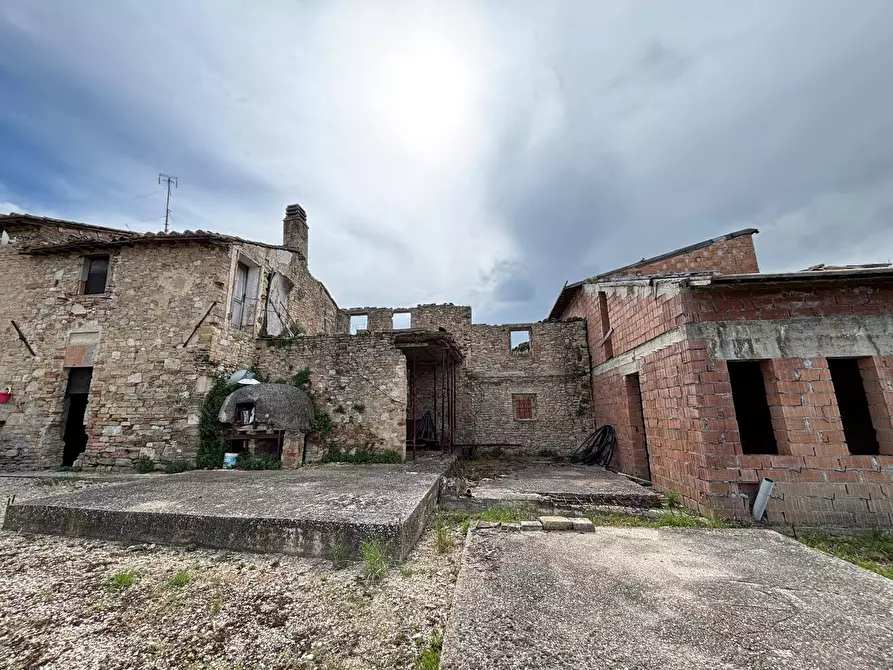 Immagine 4 di Rustico / casale in vendita  a Marsciano