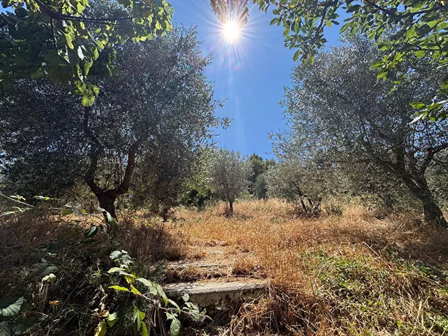 Immagine 13 di Rustico / casale in vendita  a Monte Castello Di Vibio
