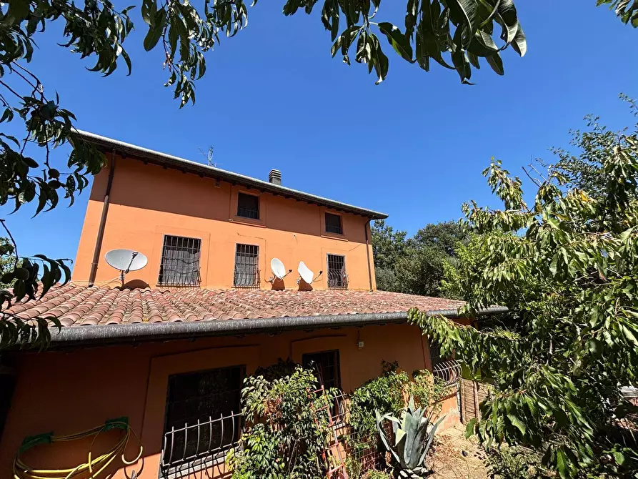 Immagine 15 di Rustico / casale in vendita  a Monte Castello Di Vibio