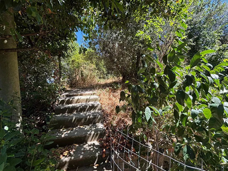 Immagine 38 di Rustico / casale in vendita  a Monte Castello Di Vibio