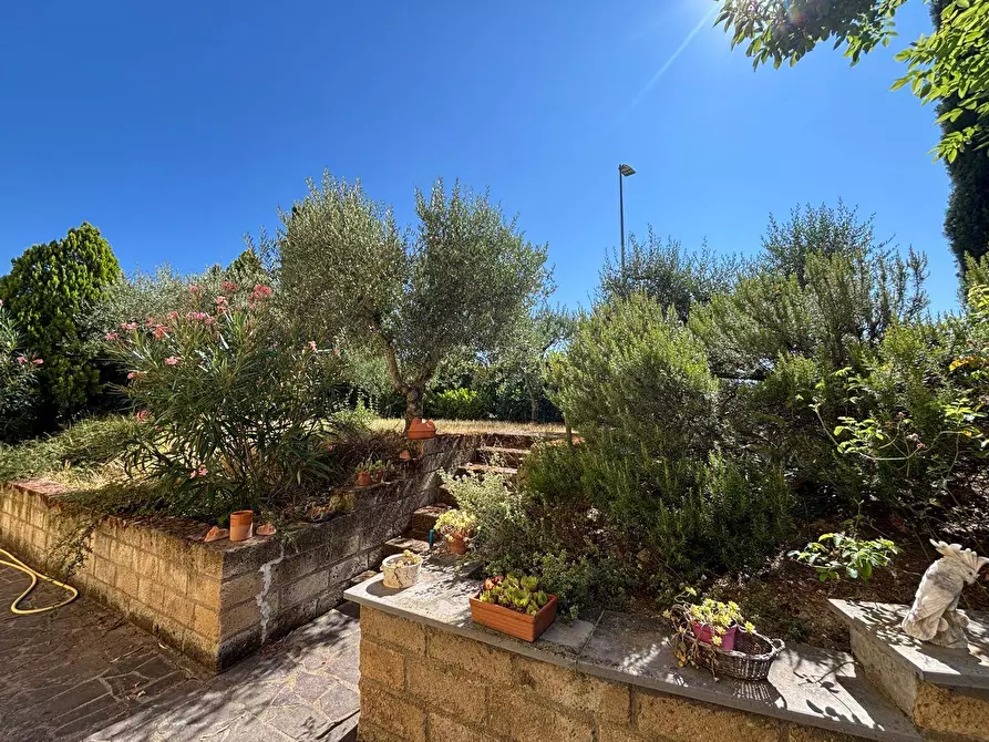 Immagine 6 di Villa in vendita  a Marsciano