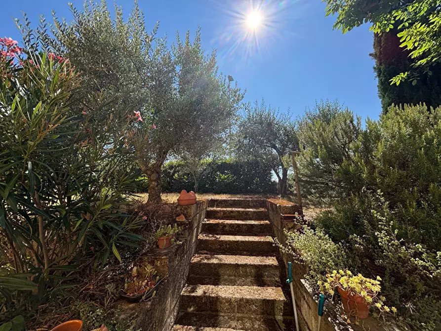 Immagine 15 di Villa in vendita  a Marsciano