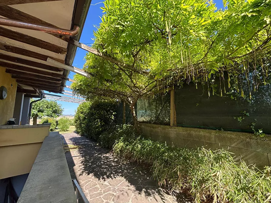 Immagine 16 di Villa in vendita  a Marsciano