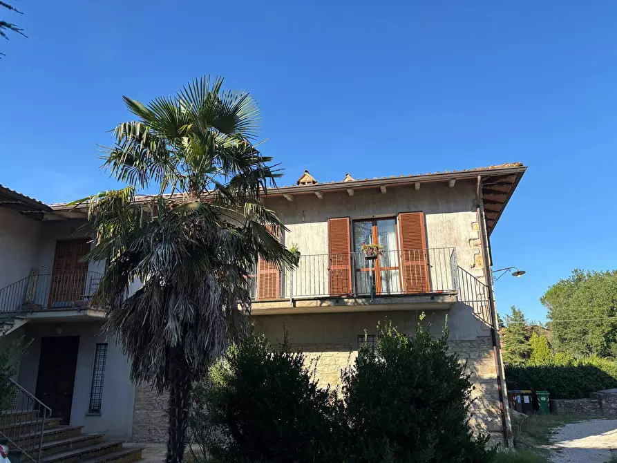 Immagine 2 di Appartamento in vendita  a Fratta Todina