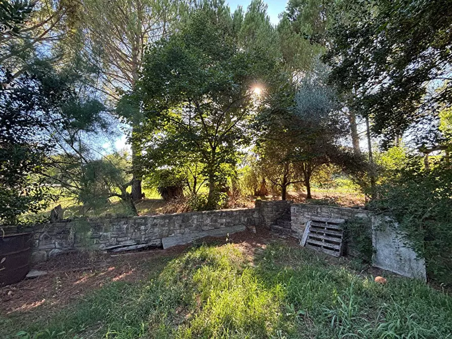 Immagine 4 di Appartamento in vendita  a Fratta Todina