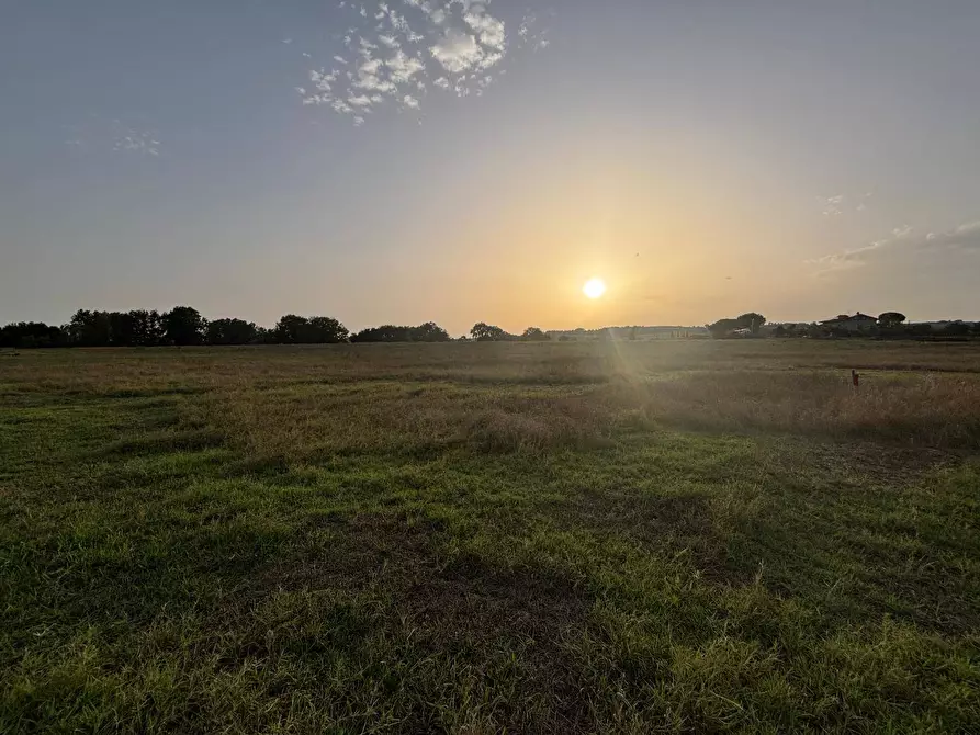Immagine 2 di Terreno agricolo in vendita  in Strada Provinciale 375 a Marsciano