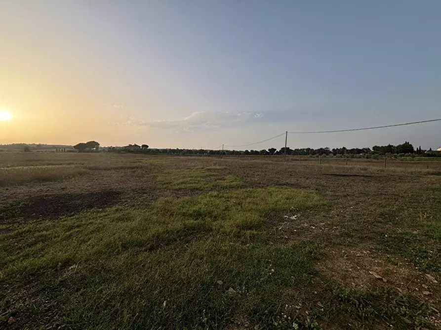 Immagine 4 di Terreno agricolo in vendita  in Strada Provinciale 375 a Marsciano