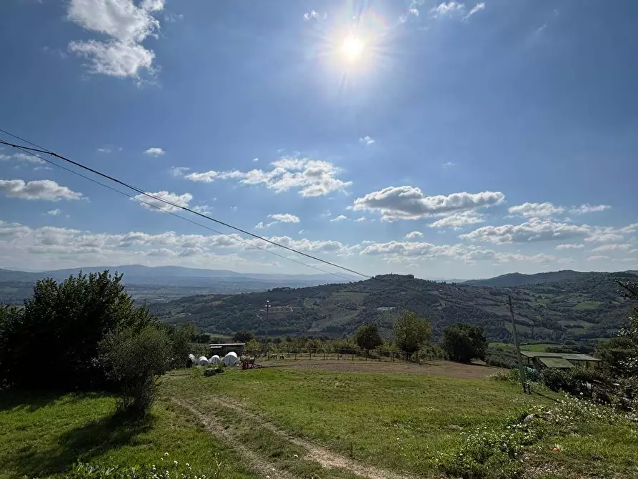 Immagine 5 di Casa semindipendente in vendita  a Fratta Todina