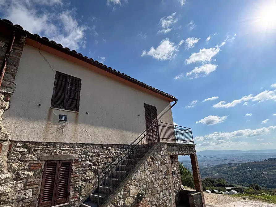 Immagine 4 di Casa semindipendente in vendita  a Fratta Todina