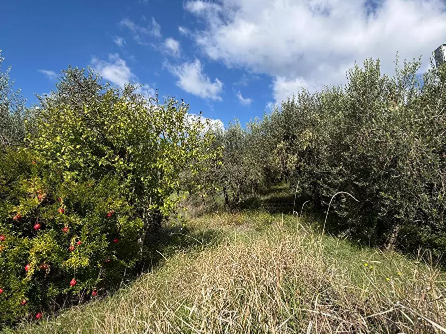 Immagine 6 di Casa semindipendente in vendita  a Fratta Todina