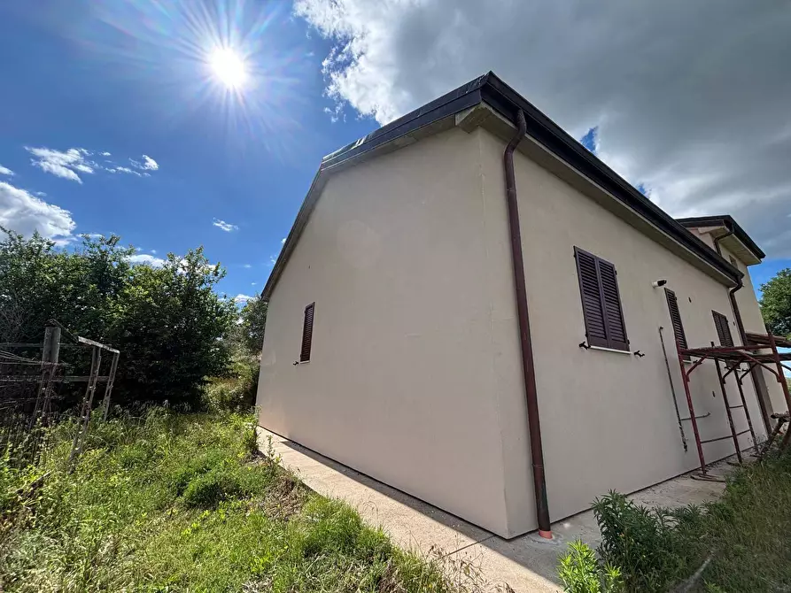 Immagine 3 di Villa in vendita  a San Venanzo
