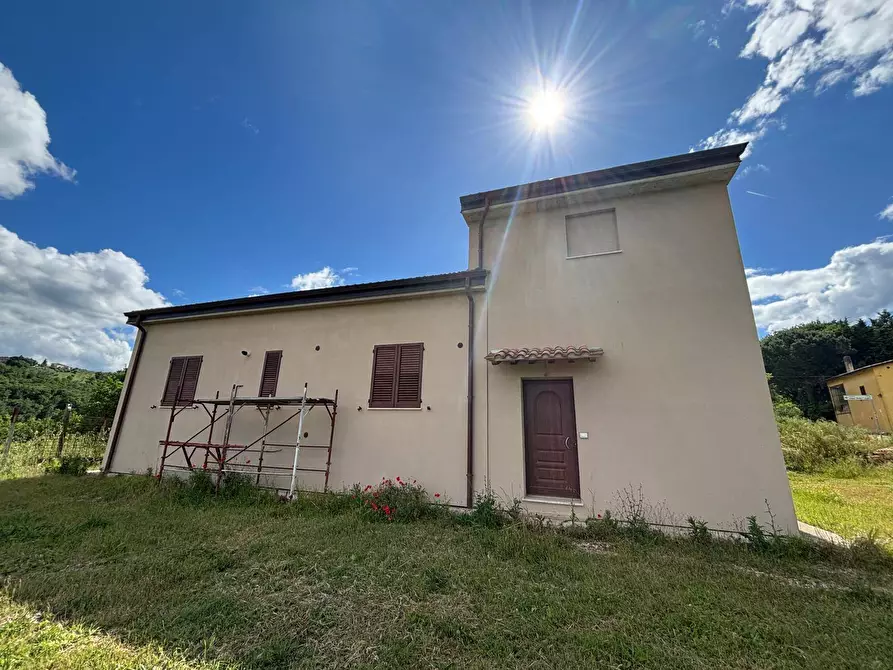 Immagine 5 di Villa in vendita  a San Venanzo