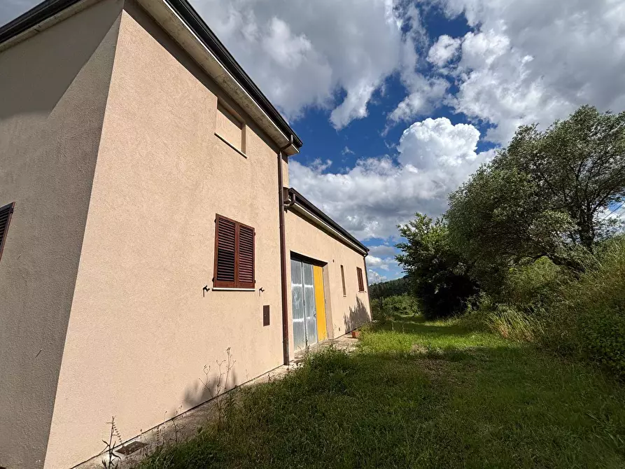 Immagine 7 di Villa in vendita  a San Venanzo