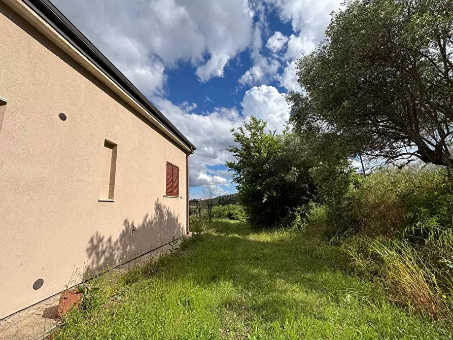 Immagine 11 di Villa in vendita  a San Venanzo