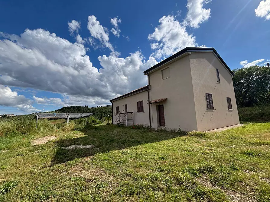 Immagine 4 di Villa in vendita  a San Venanzo