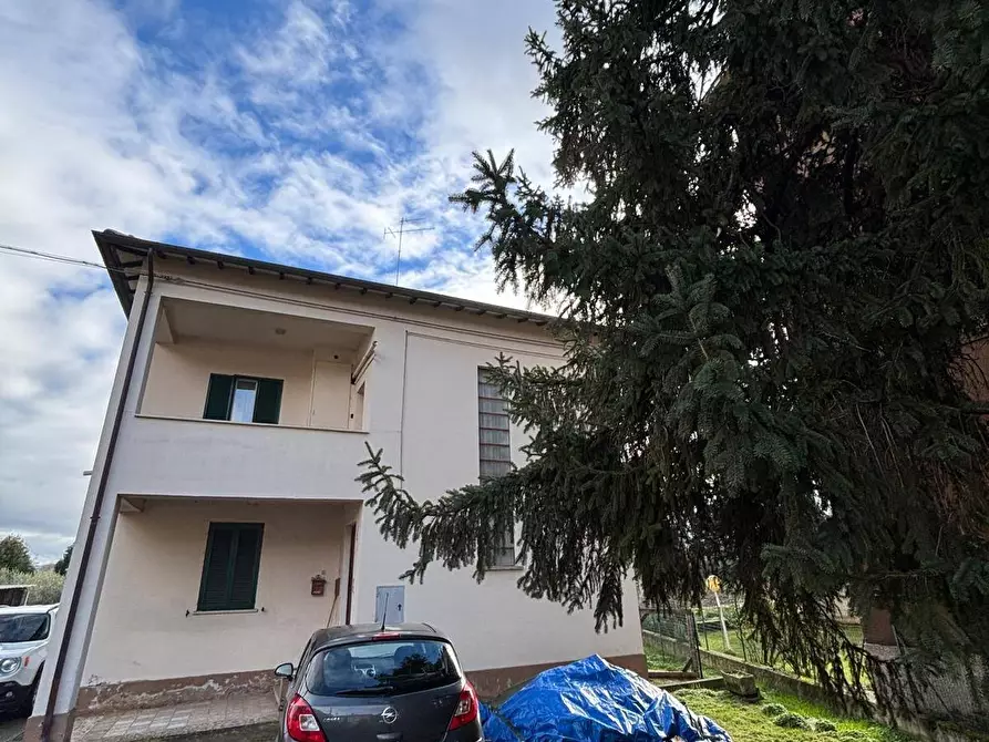 Immagine 3 di Appartamento in vendita  a Marsciano