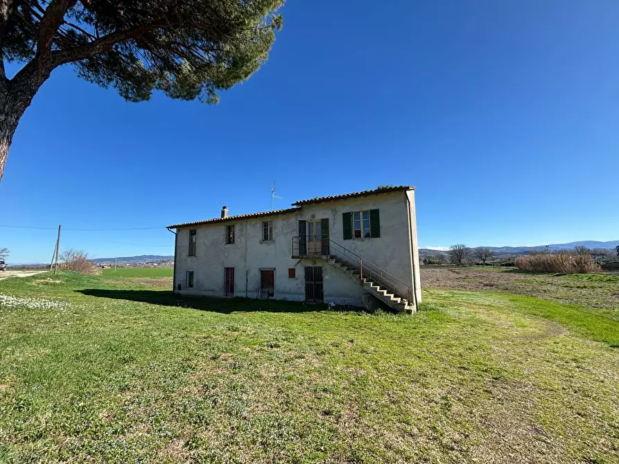 Immagine 4 di Casa indipendente in vendita  a Fratta Todina