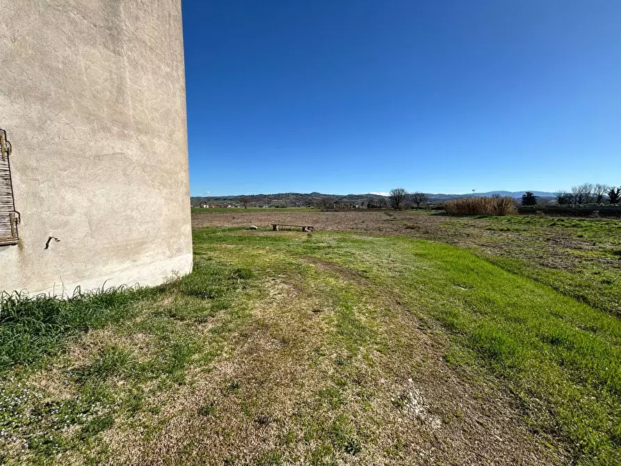 Immagine 5 di Casa indipendente in vendita  a Fratta Todina