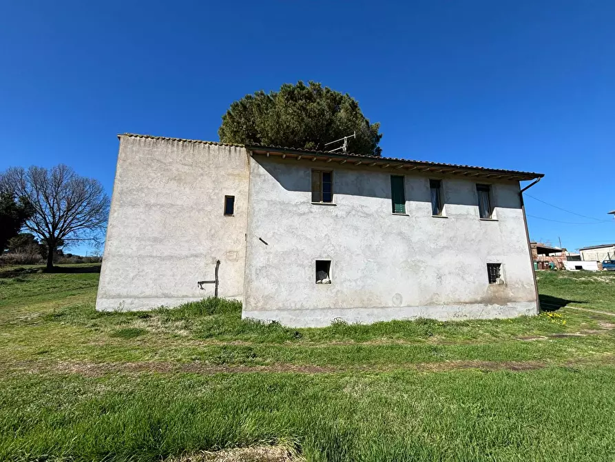 Immagine 8 di Casa indipendente in vendita  a Fratta Todina