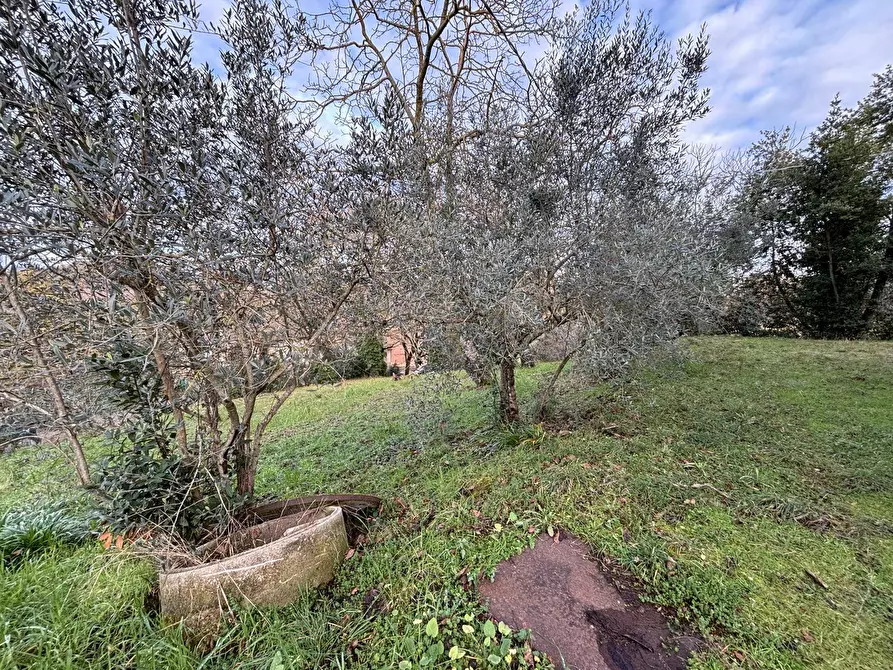 Immagine 30 di Casa indipendente in vendita  in Via Guglielmo marconi 26 a Collazzone