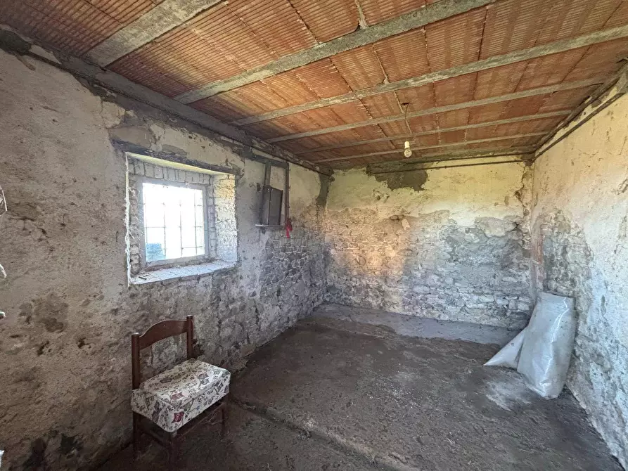 Immagine 15 di Casa indipendente in vendita  a Fratta Todina
