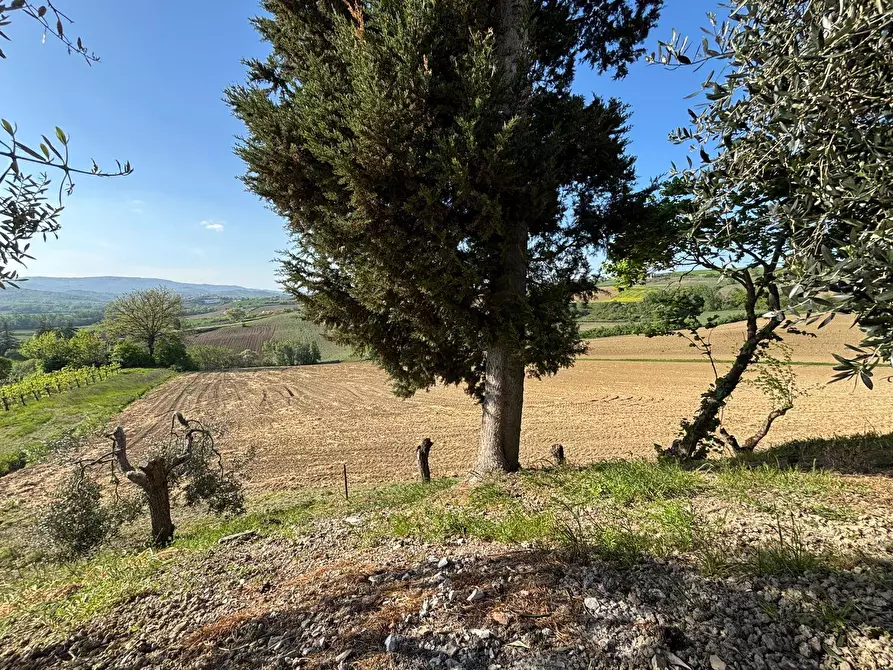 Immagine 19 di Appartamento in vendita  in Vocabolo Valcarone 104 a Marsciano