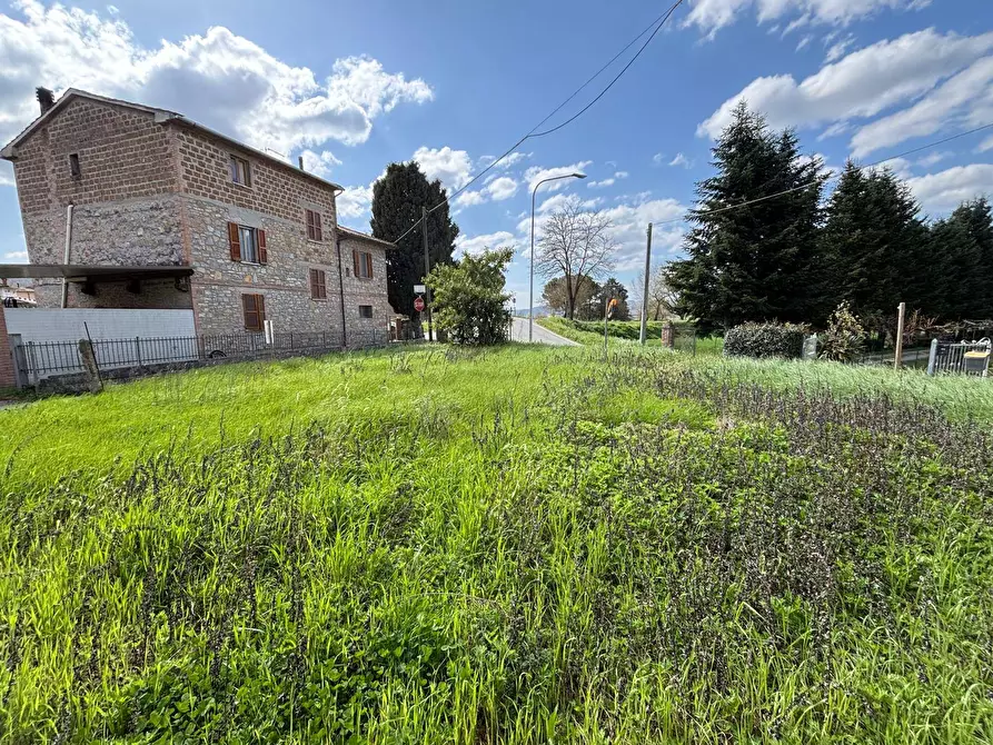 Immagine 2 di Casa indipendente in vendita  in via dei pini 38 a Monteleone D'orvieto