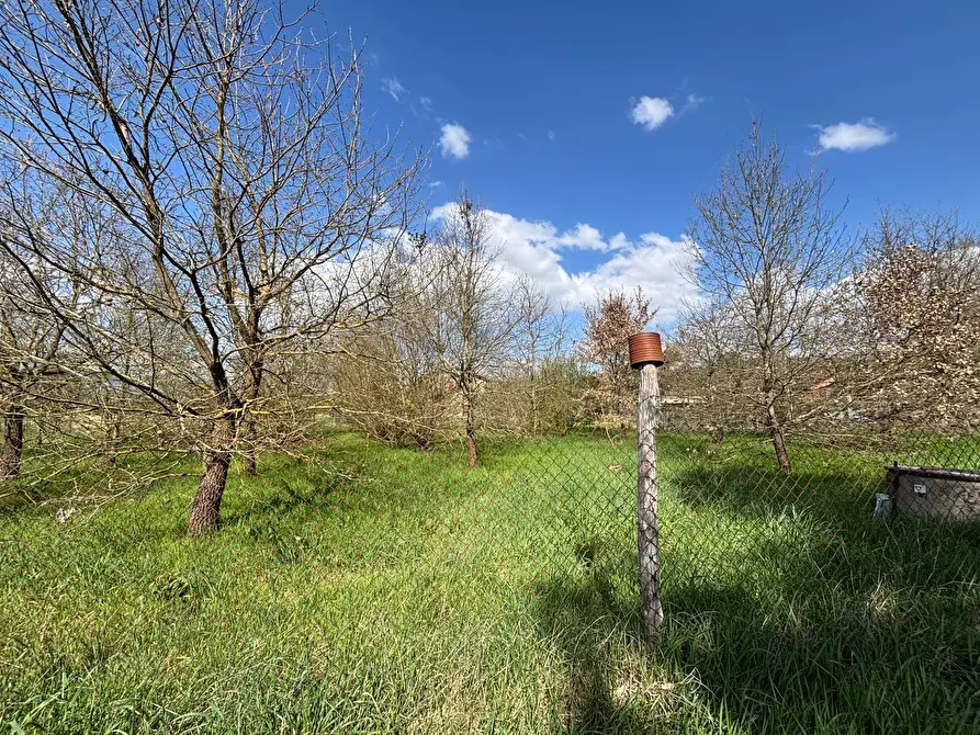 Immagine 19 di Casa indipendente in vendita  in via dei pini 38 a Monteleone D'orvieto