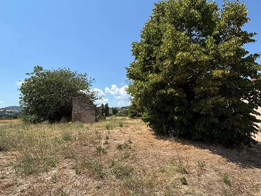 Immagine 20 di Rustico / casale in vendita  in Via della Pallotta a Fratta Todina