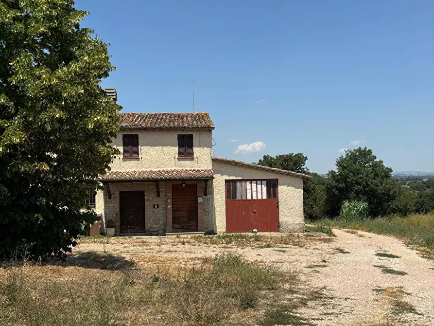 Immagine 22 di Rustico / casale in vendita  in Via della Pallotta a Fratta Todina