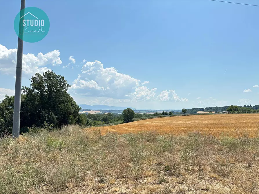 Immagine 25 di Rustico / casale in vendita  in Via della Pallotta a Fratta Todina
