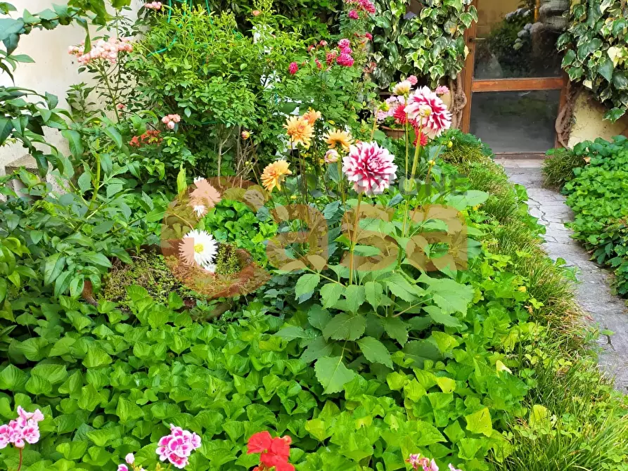 Immagine 4 di Casa indipendente in vendita  in Via Genocchi a Piacenza