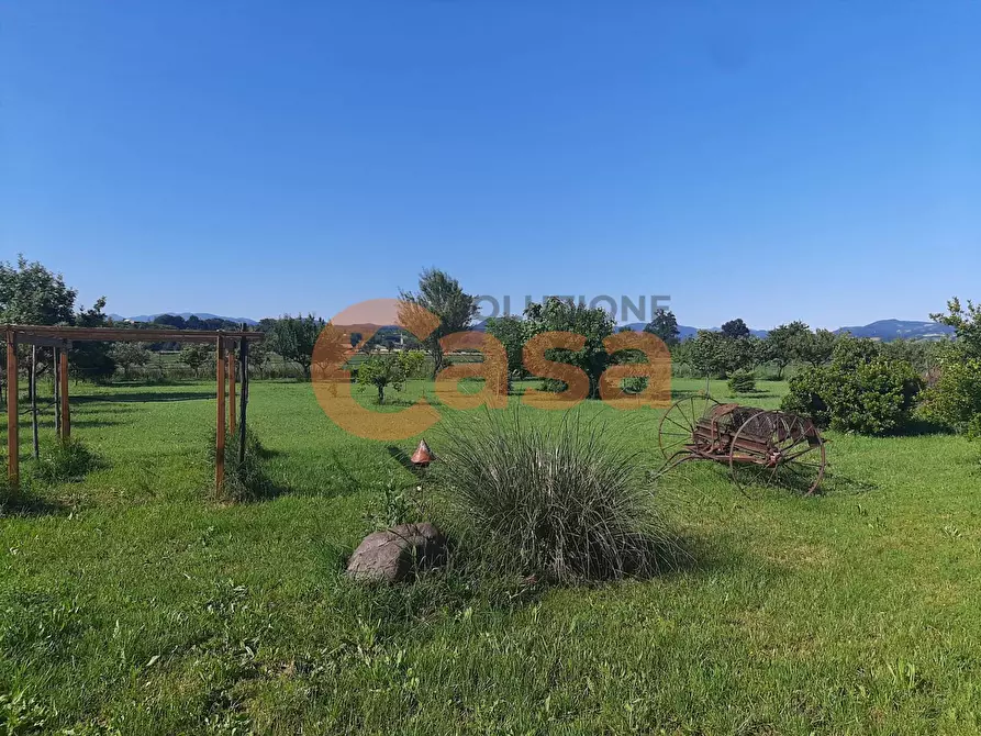 Immagine 22 di Rustico / casale in vendita  in Strada Provinciale 36 a Ponte Dell'olio