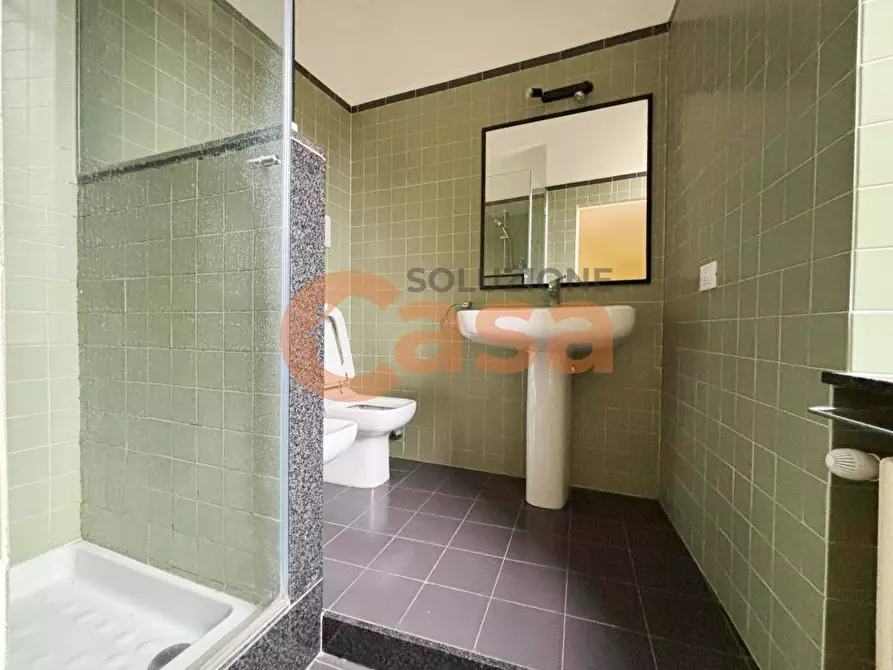 Immagine 16 di Villa in affitto  in Corso Giuseppe Garibaldi 62 a Piacenza